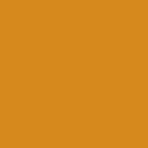 Paintbrush Studio - Painters Palette Unis - Curry