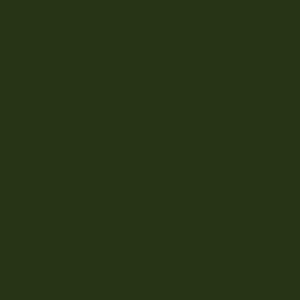 Paintbrush Studio - Painters Palette Unis - Forest