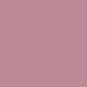 Paintbrush Studio - Painters Palette Unis - orchid
