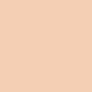 Paintbrush Studio - Painters Palette Unis - Peach