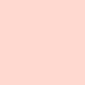 Paintbrush Studio - Painters Palette Unis - Shell Pink